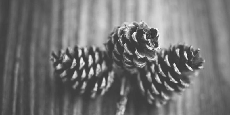 从智能电表到系统优化：自动化部件与精密加工的工业制造能耗管理实践