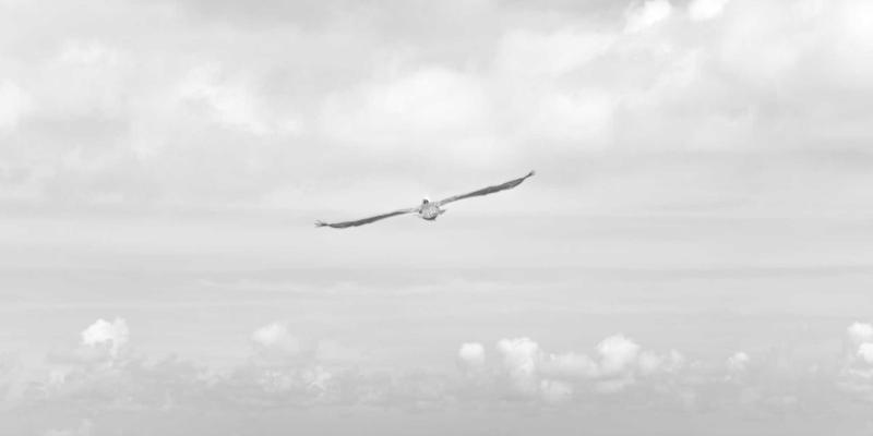 工业5.0时代：人机协作（Cobots）如何重塑金属加工与机械零部件的柔性装配