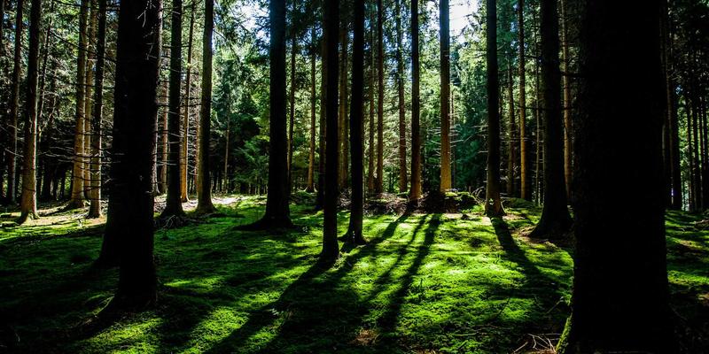 工业制造4.0时代:自动化部件与精密加工如何重塑工业设备新格局