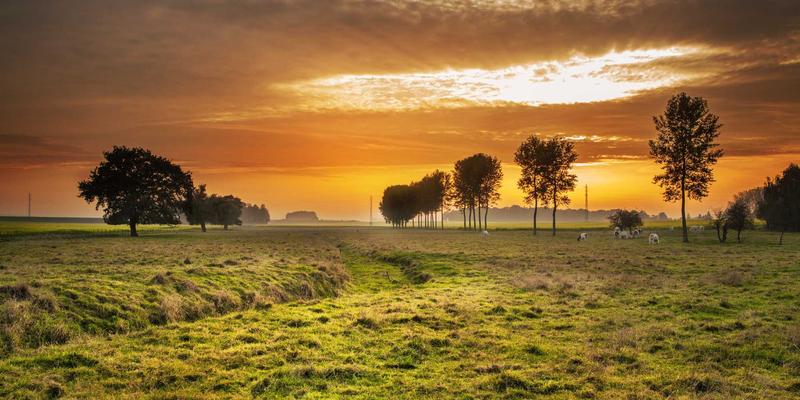 工业制造4.0时代：自动化部件如何重塑金属加工的未来