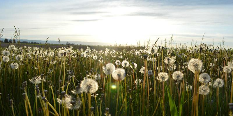 工业制造6.0时代：精密加工与金属加工如何重塑未来工业设备