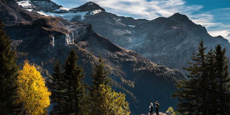 工业制造84：自动化部件与精密加工的融合创新