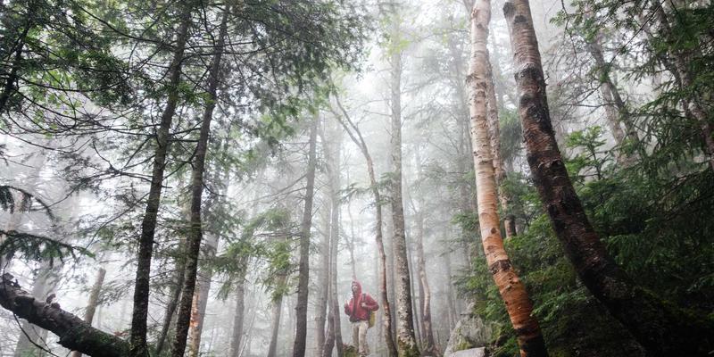 工业设备预测性维护新范式：基于振动与温度传感的精密加工机械零部件故障预警模型