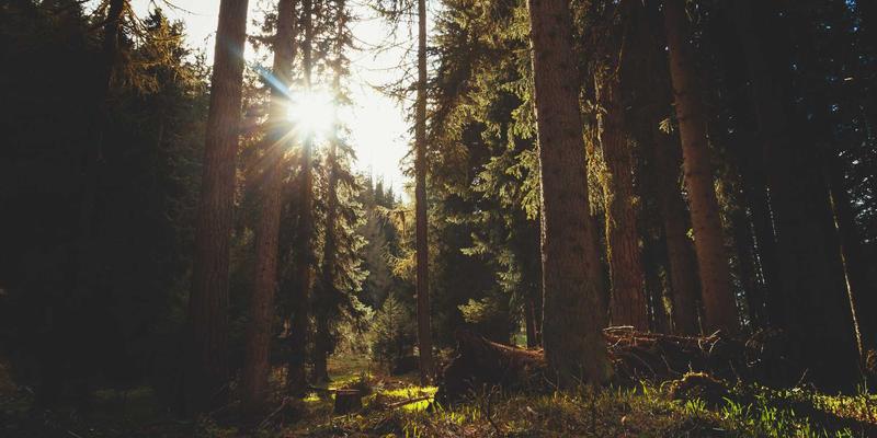 机械零部件制造的绿色革命：金属加工中的可持续制造与循环经济实践