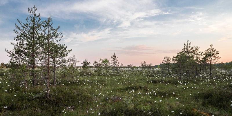 柔性制造系统（FMS）：以自动化部件与精密加工破解小批量、多品种生产困局