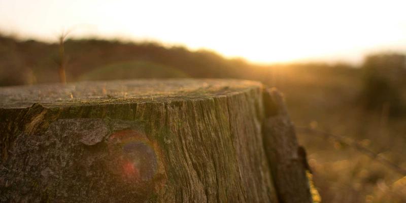 碳中和目标下，工业制造与机械零部件行业的绿色转型之路